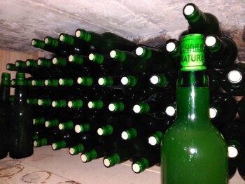 Elaborar sidra natural Elaborar sidra natura
